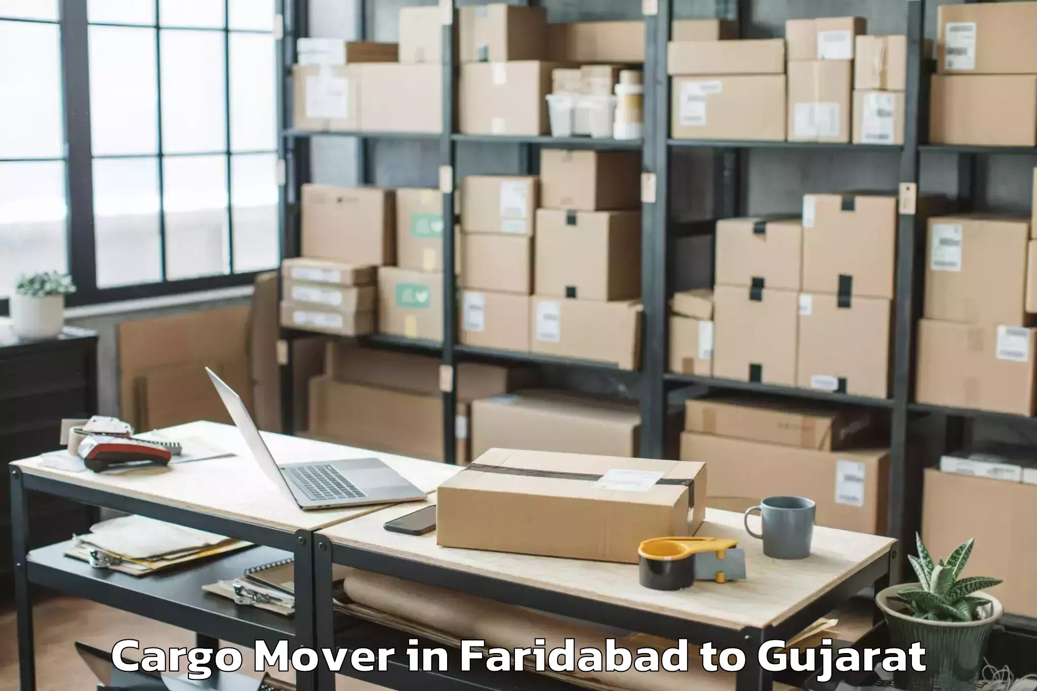 Professional Faridabad to Uka Tarsadia University Bardol Cargo Mover